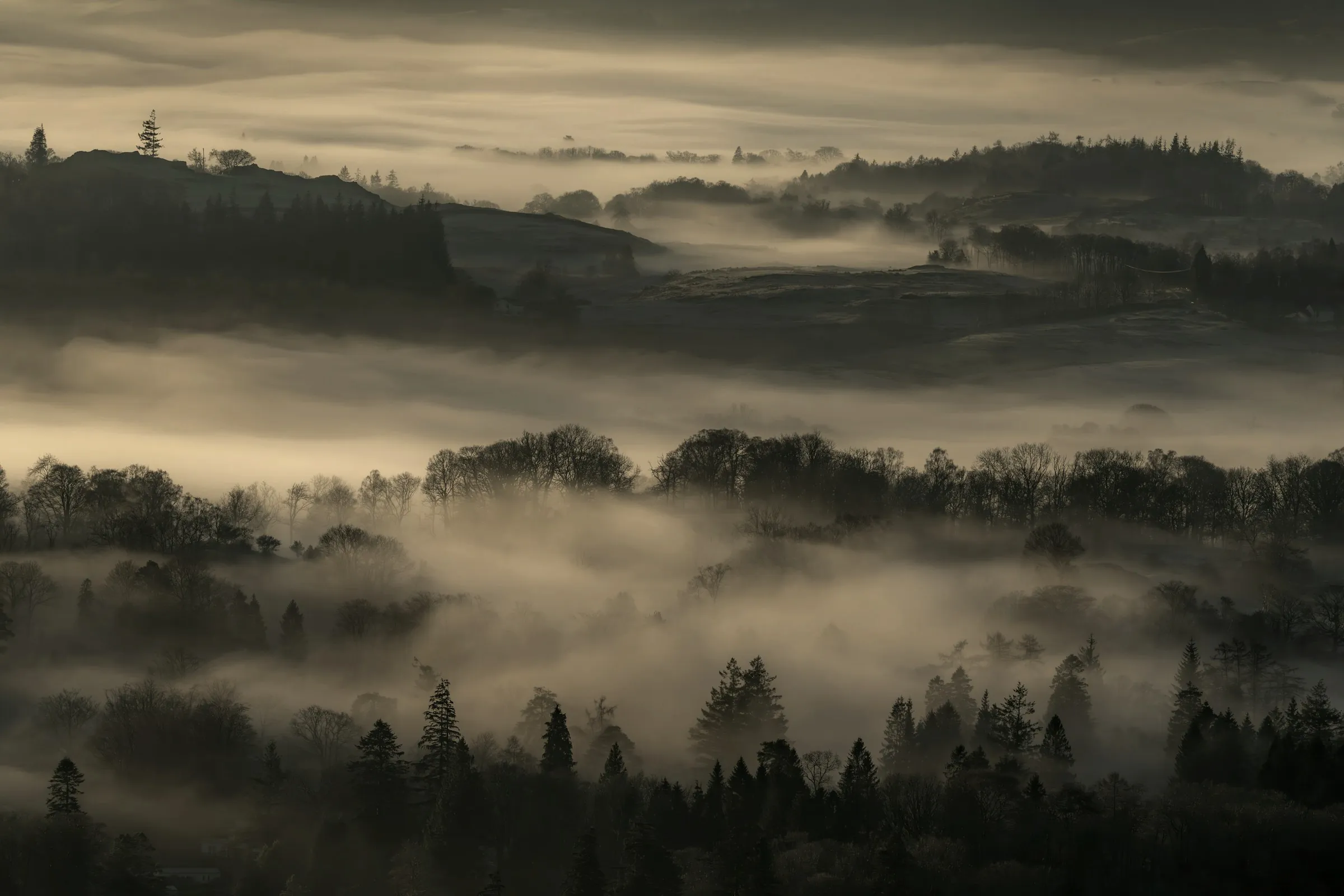 Rolling European farmland in morning mist